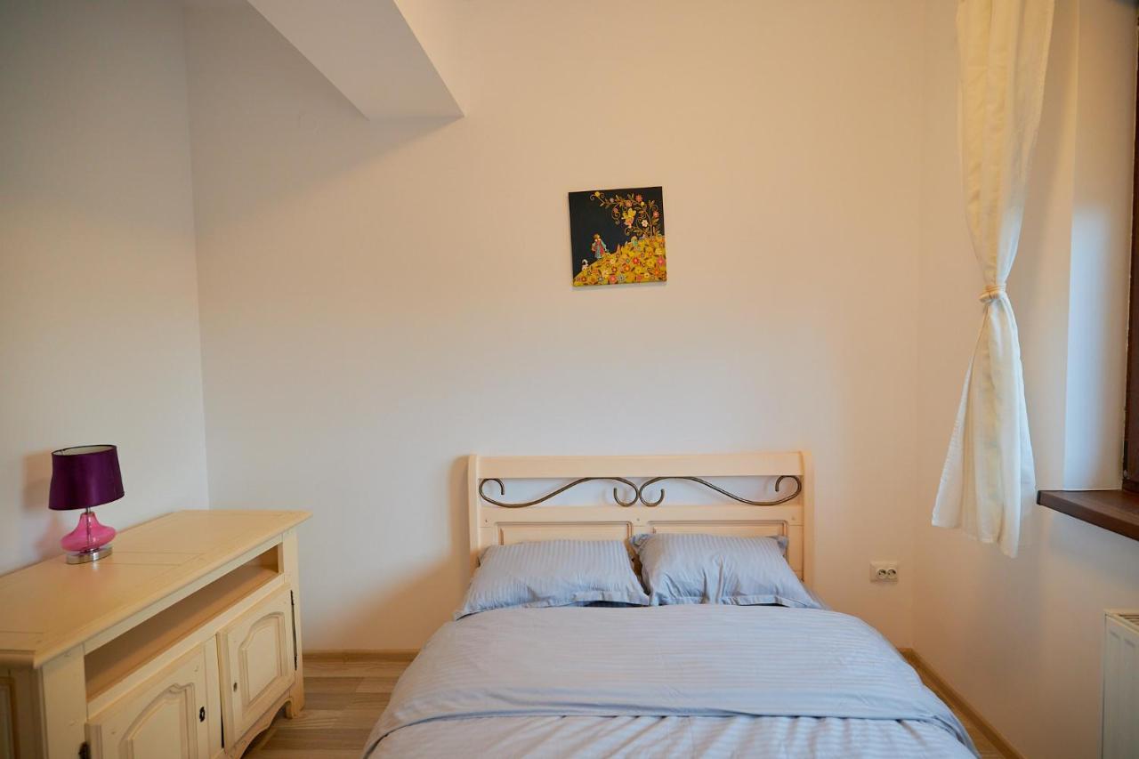 Cozy 3 Bedroom Apartments In Centre Of Iasi Palas Mall Экстерьер фото